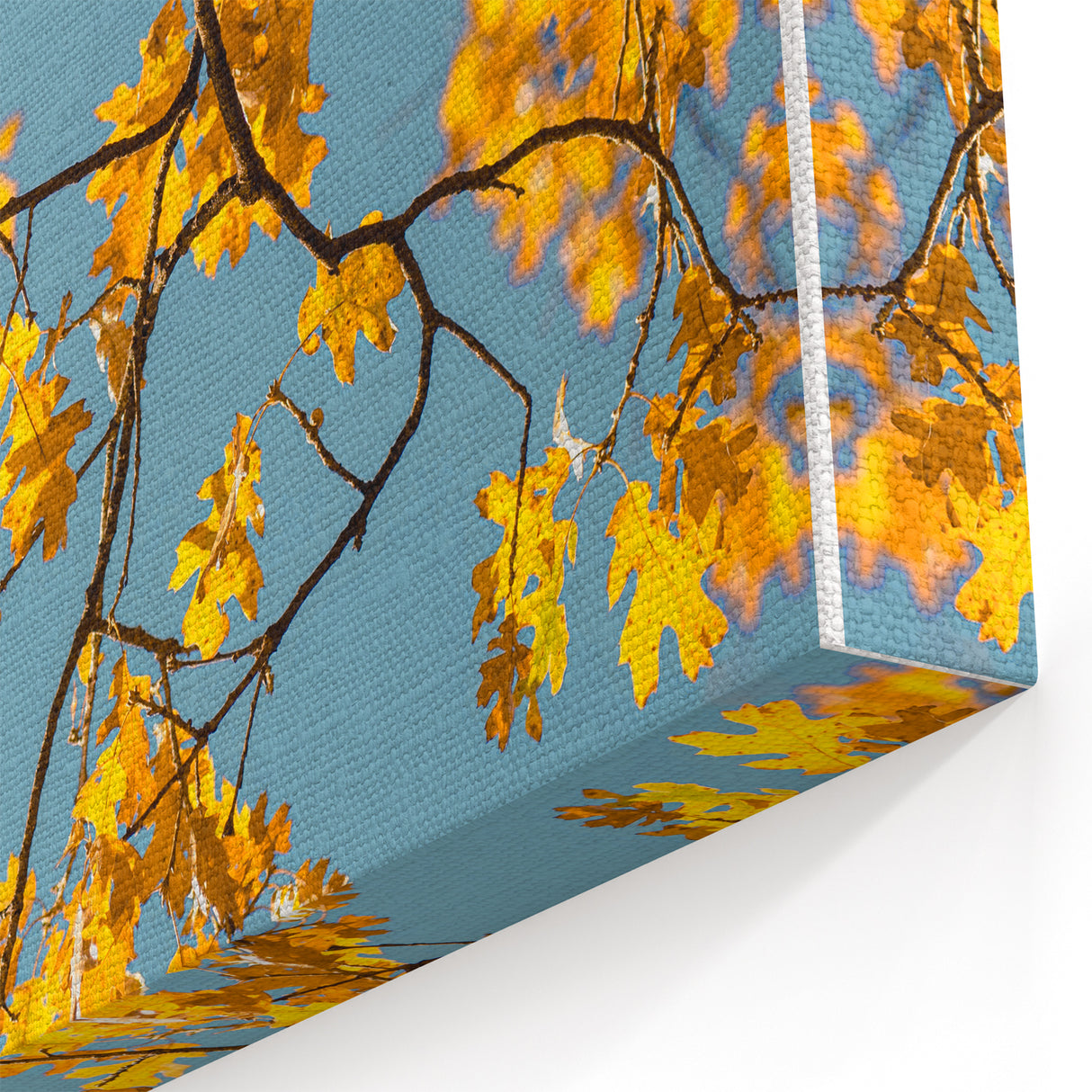 Golden Oak Leaves Against Blue Sky – Fall Wall Art for Bright Spaces