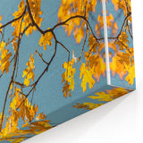 Golden Oak Leaves Against Blue Sky – Fall Wall Art for Bright Spaces