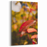 Red Autumn Leaf Close-Up – Fall Wall Art for Elegant Interiors