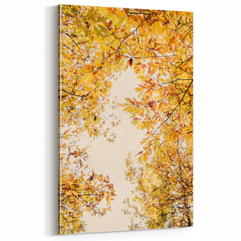 Golden Fall Canopy – Autumn Wall Art for Warm and Cozy Interiors