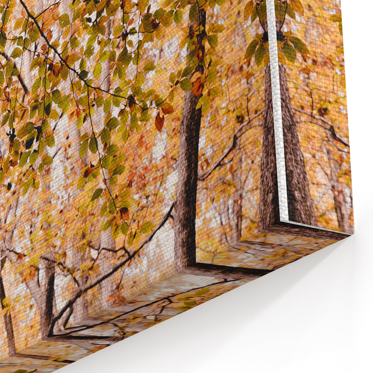 Golden Autumn Foliage – Fall Wall Art for Elegant Seasonal Decor