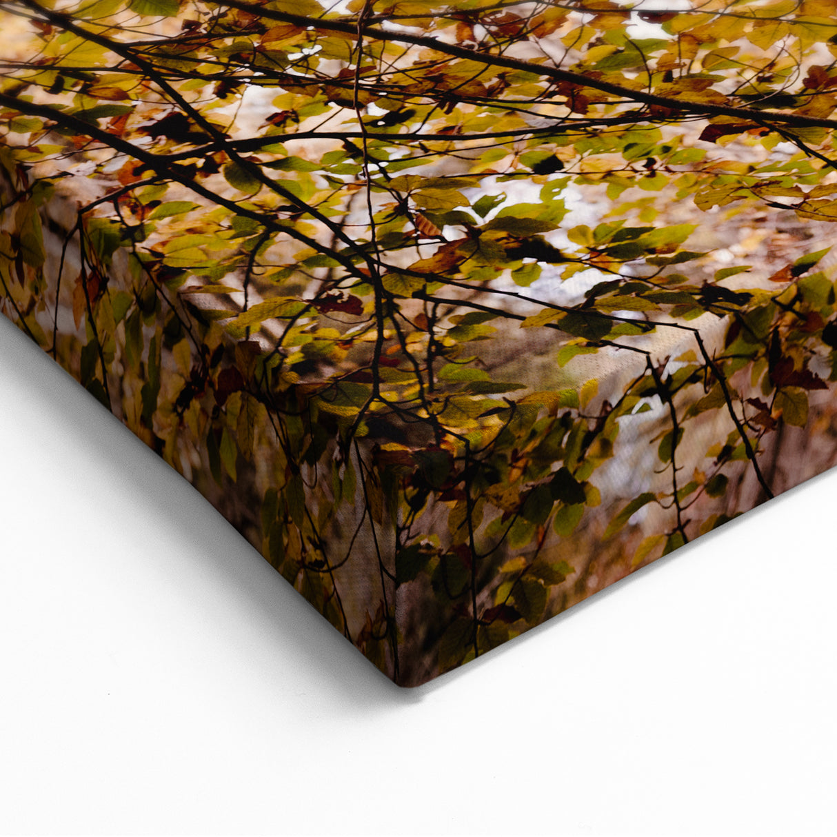 Golden Autumn Foliage – Fall Wall Art for Elegant Seasonal Decor