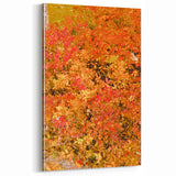 Vibrant Autumn Foliage – Fall Wall Art for Warm and Cozy Interiors