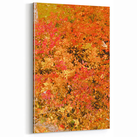 Vibrant Autumn Foliage – Fall Wall Art for Warm and Cozy Interiors