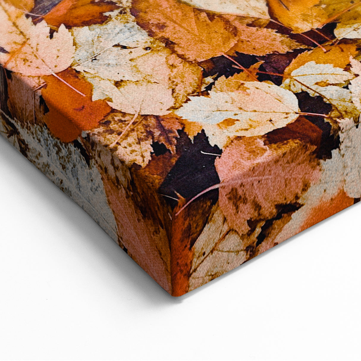 Fall Wall Decor - Rustic Autumn Leaves on Wooden Background