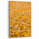 Autumn Canvas Art - Golden Fall Leaves Wall Decor for Home
