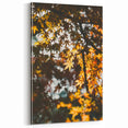 Fall Canvas Art - Autumn Leaves Wall Decor with Golden Glow