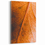 Fall Art Prints - Macro Autumn Leaf Wall Decor for Nature Lovers