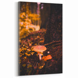 Enchanted Forest Mushroom - Autumn Wall Art and Fall Wall Decor