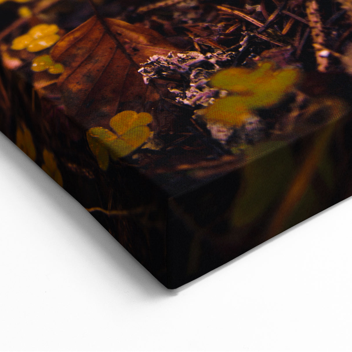 Enchanted Forest Mushroom - Autumn Wall Art and Fall Wall Decor