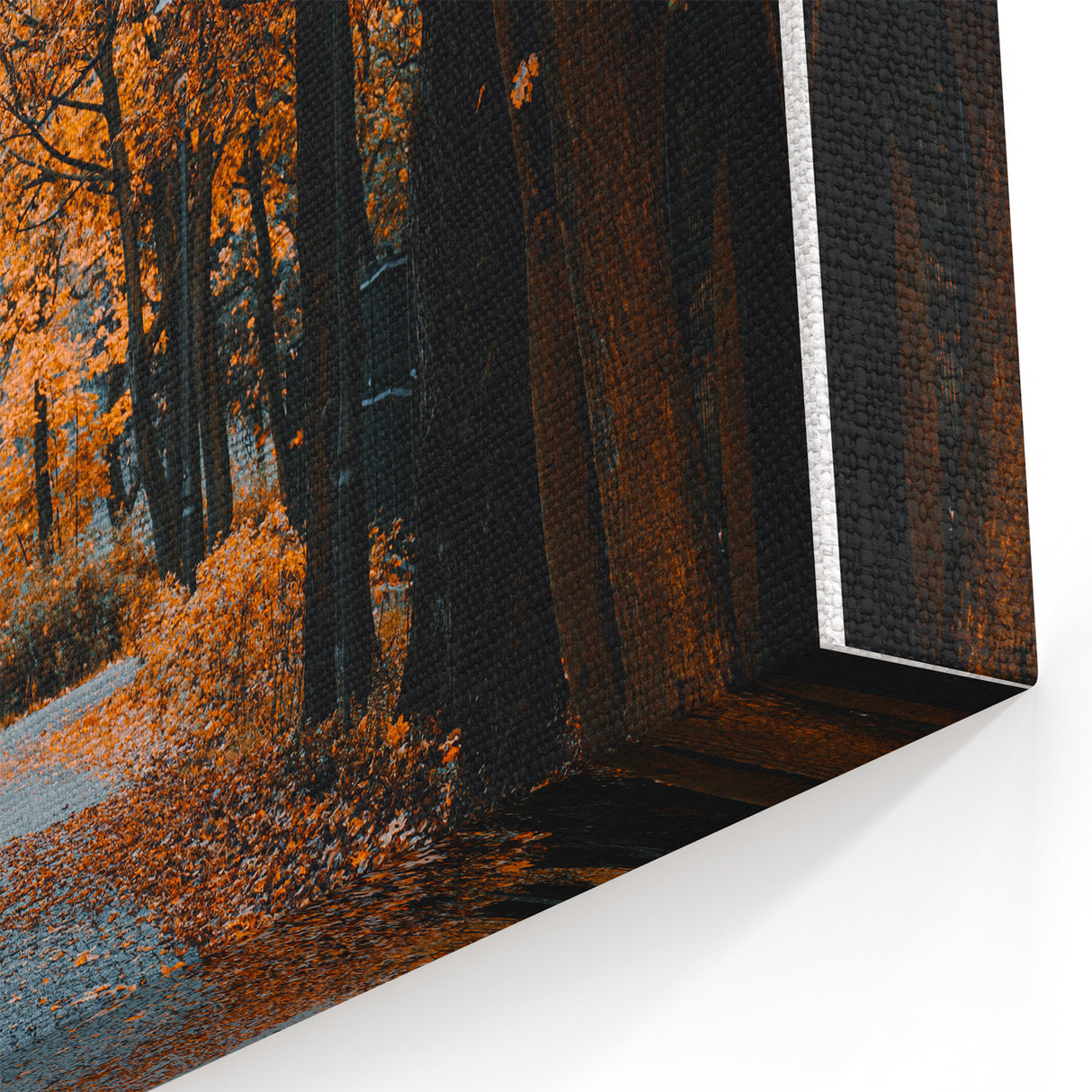 Golden Autumn Pathway - Fall Wall Art and Autumn Canvas Print