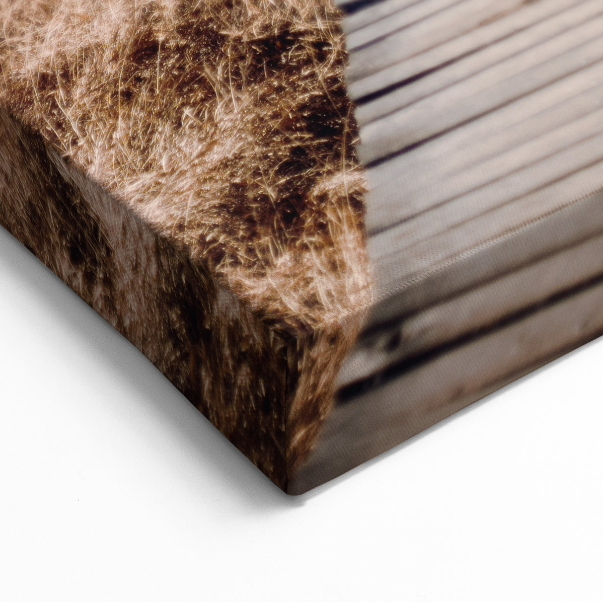 Autumn Boardwalk Trail - Fall Wall Art and Nature Canvas Print