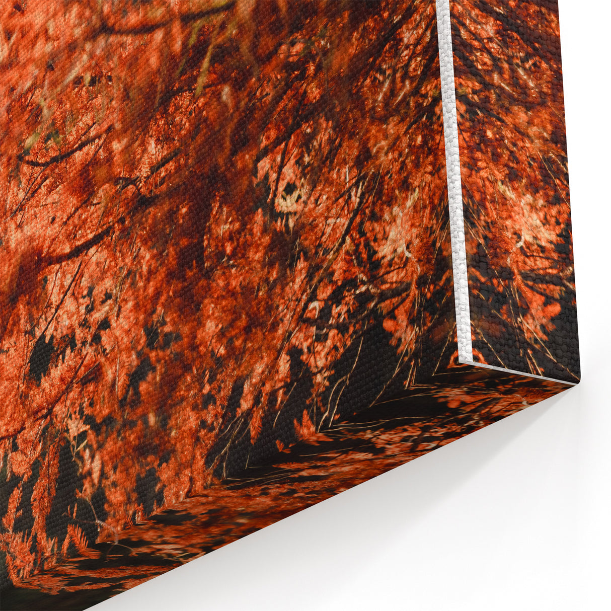 Golden Autumn Reflection - Fall Wall Art and Autumn Canvas Print