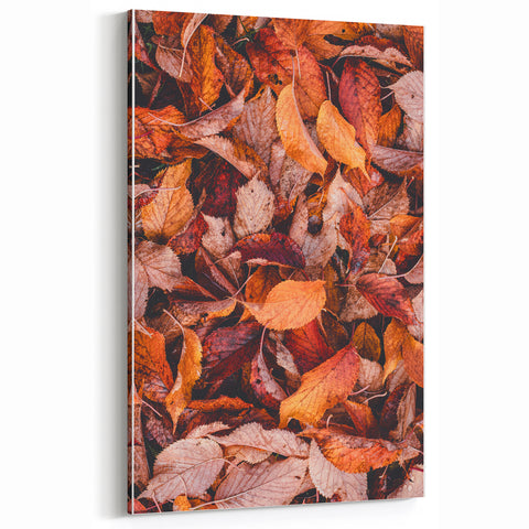 Fallen Autumn Leaves - Fall Wall Art and Rustic Canvas Print