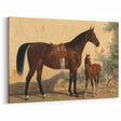 Vintage Animal Art: Horse and Foal – Antique Wildlife Print