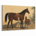 Vintage Animal Art: Horse and Foal – Antique Wildlife Print