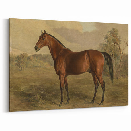 Vintage Animal Art: Majestic Horse – Antique Wildlife Print