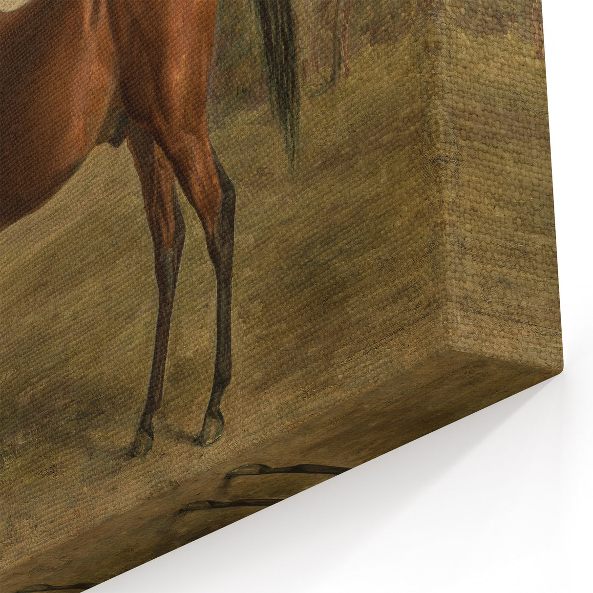 Vintage Animal Art: Majestic Horse – Antique Wildlife Print