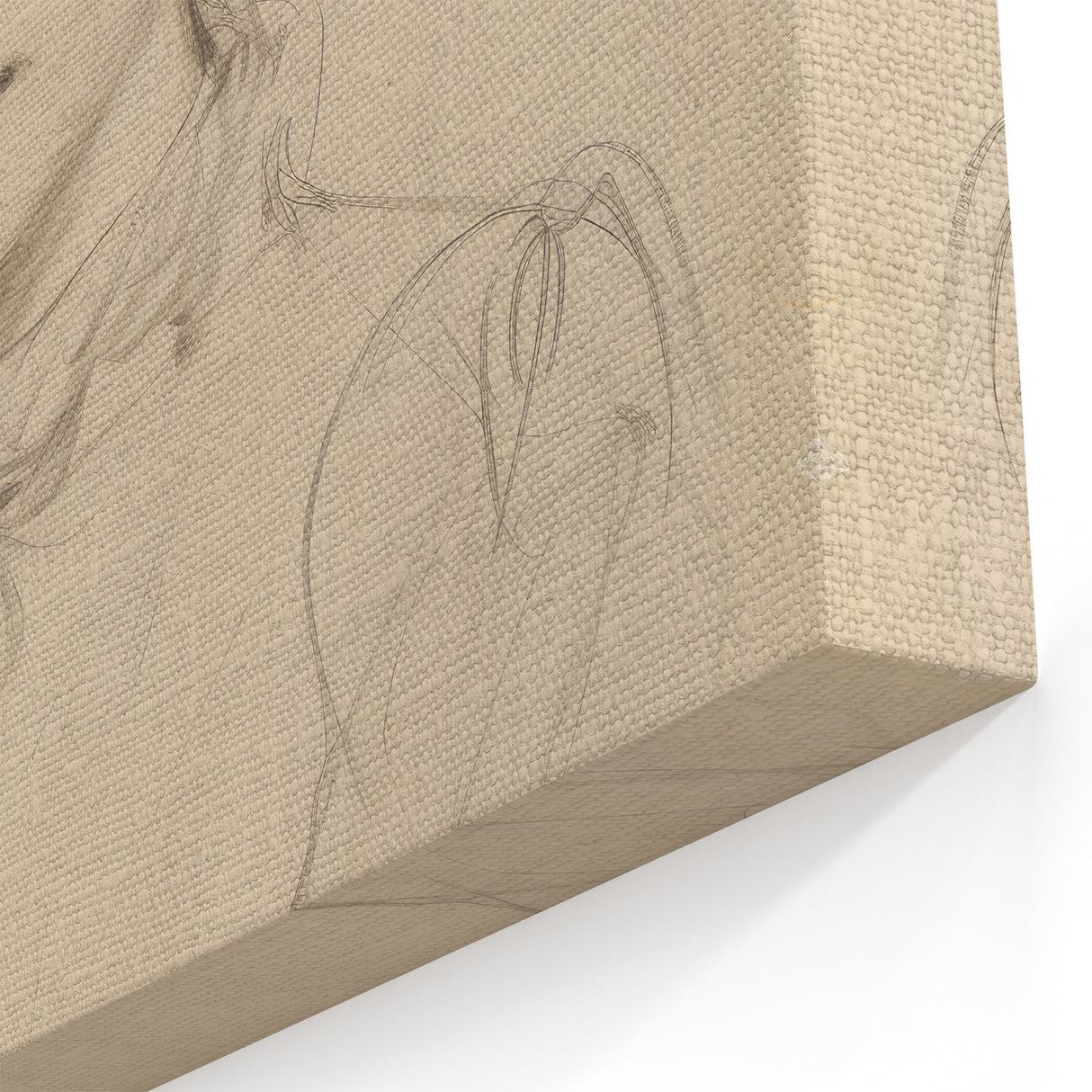 Elegant Vintage Portrait - Classic Sketch Wall Art Print