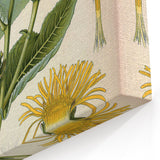 Botanical Art Prints – Vintage Floral Illustration Art