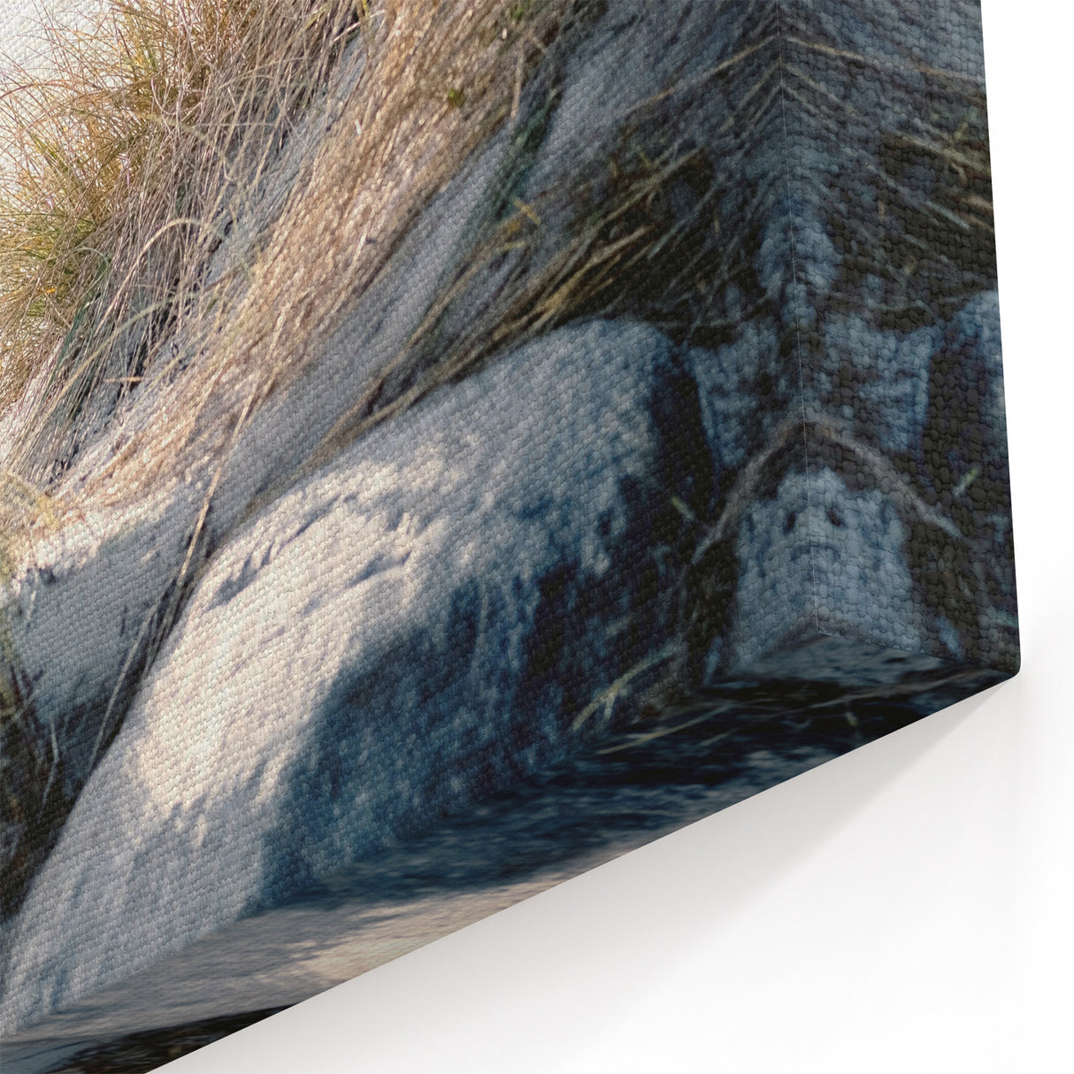 Sunlit Beach Grass – Summer Wall Art for Coastal Spaces