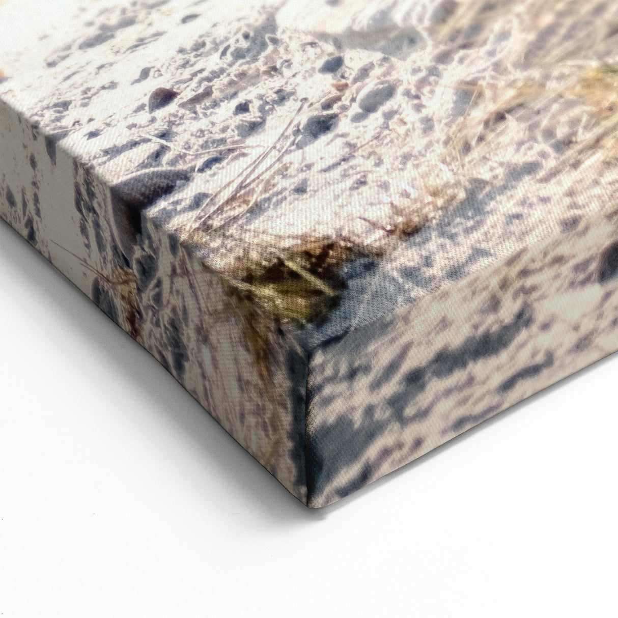 Sunlit Beach Grass – Summer Wall Art for Coastal Spaces