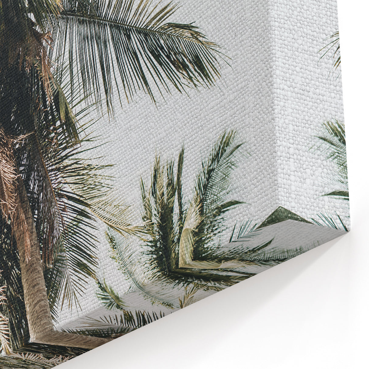 Swaying Palm Trees – Summer Wall Art for Tropical Spaces