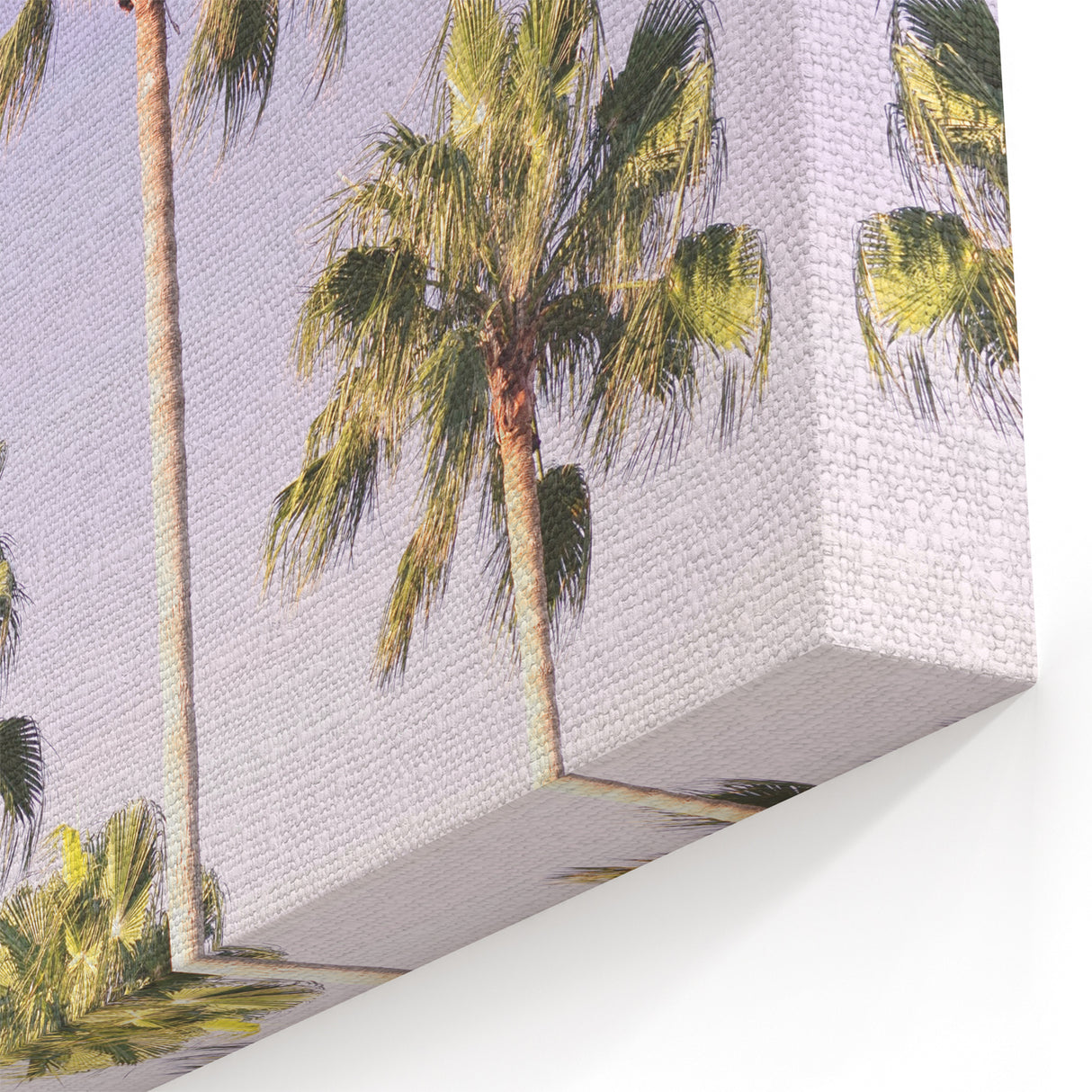 Tropical Palm Tree Sky – Vibrant Summer Canvas Wall Art