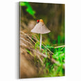 Spring Wall Art – Botanical Mushroom & Ladybug Nature Canvas Print