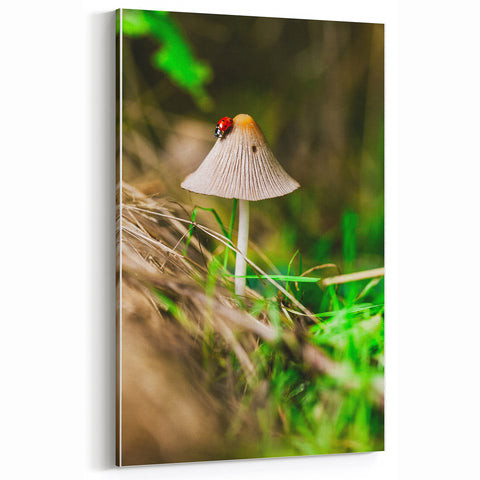 Spring Wall Art – Botanical Mushroom & Ladybug Nature Canvas Print