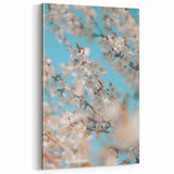 Floral Wall Art – Blooming Cherry Blossoms Against Blue Sky