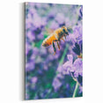 Botanical Wall Art – Honeybee on Lavender Spring Canvas Print