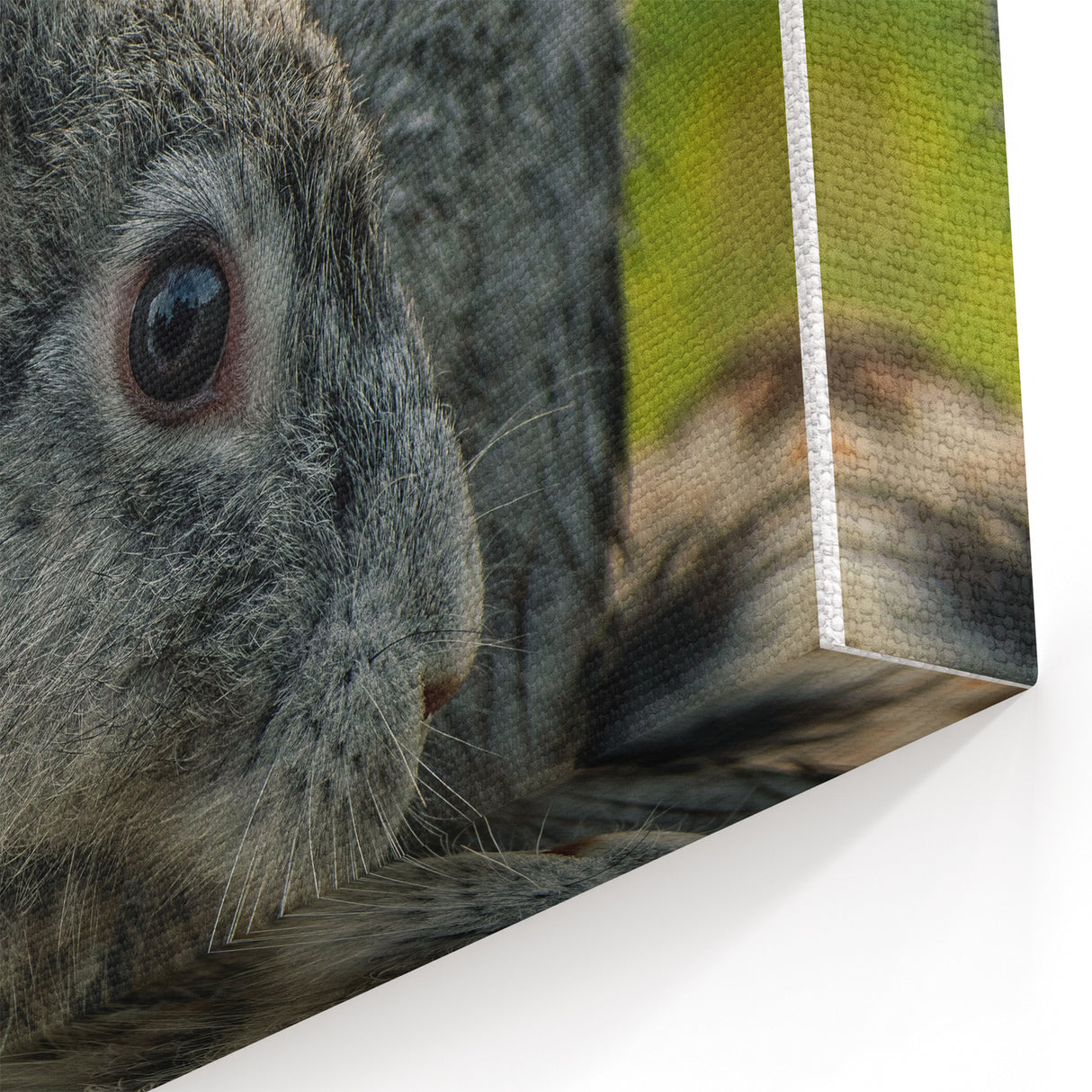 Spring Wall Art – Adorable Gray Rabbit in Nature Canvas Print