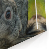Spring Wall Art – Adorable Gray Rabbit in Nature Canvas Print