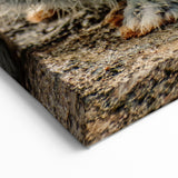 Spring Wall Art – Adorable Gray Rabbit in Nature Canvas Print