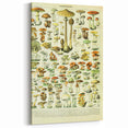 Mushroom Art Print – Vintage Champignons Illustration