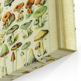 Mushroom Art Print – Vintage Champignons Illustration