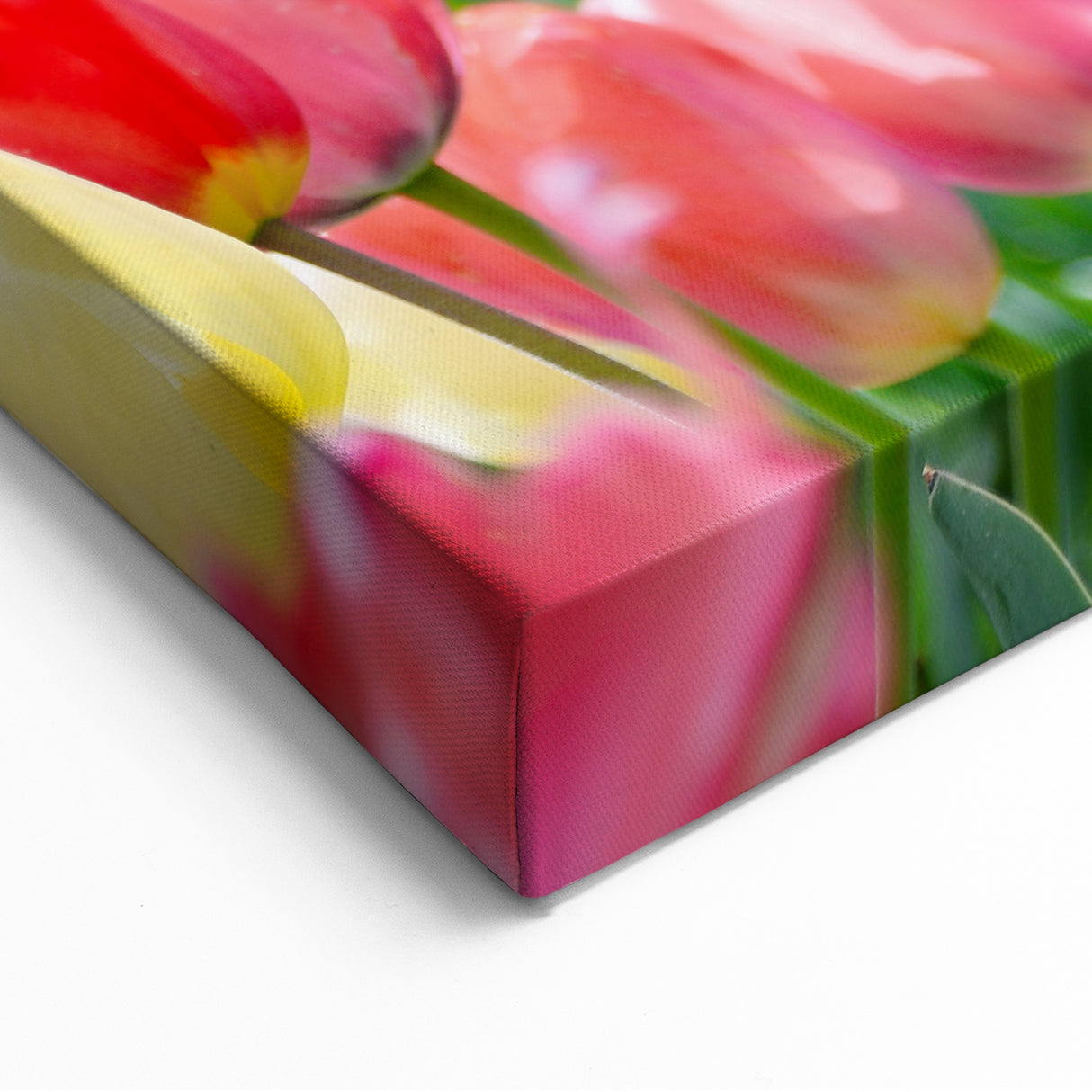 Spring Wall Decor – Colorful Tulip Bloom & Blossoming Trees