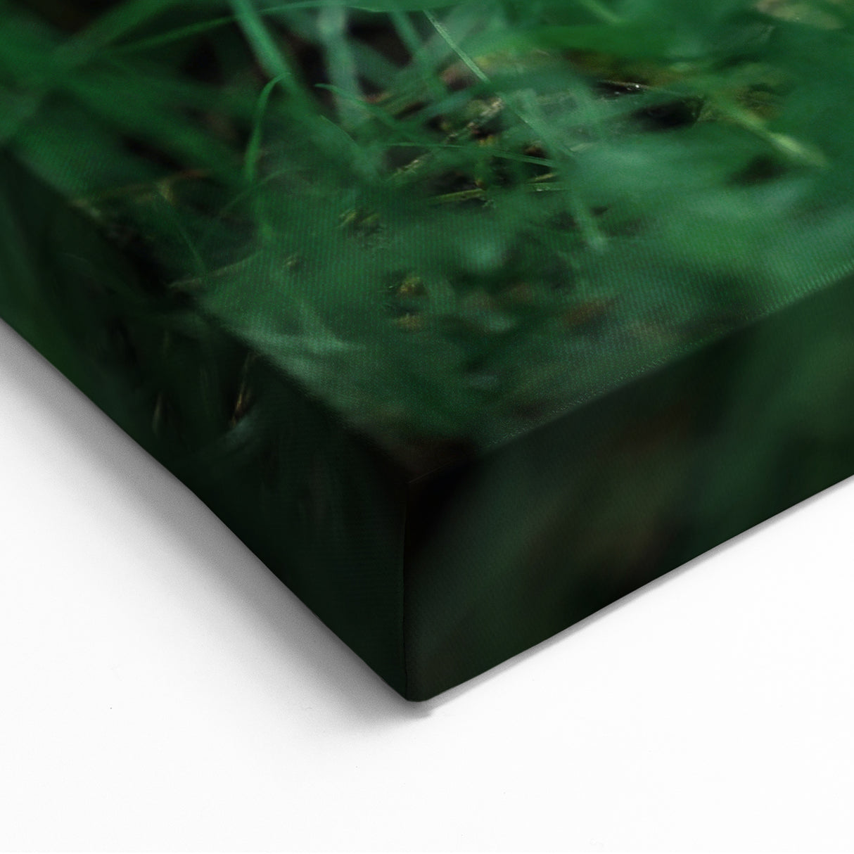 Spring Landscape Wall Art – Adorable Squirrel in Lush Greenery