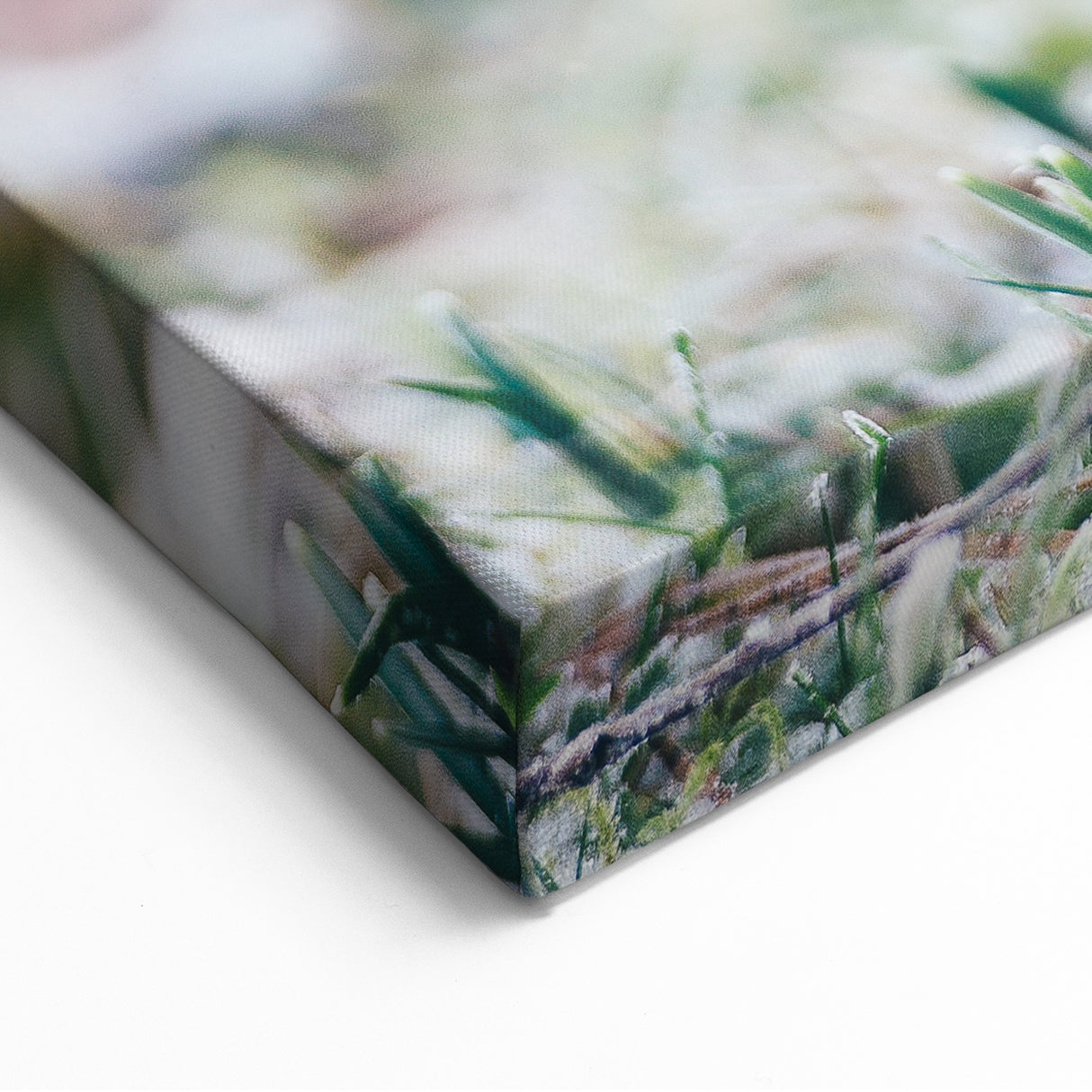 Spring Canvas Art – Delicate Snowdrops Emerging from Frost