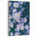 Floral Wall Art – Vibrant Purple Daisies in Spring Bloom