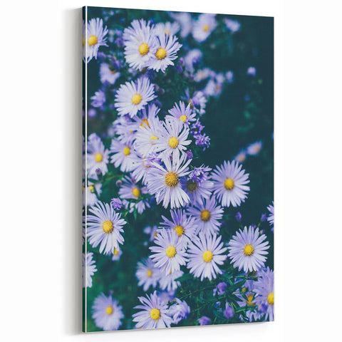 Floral Wall Art – Vibrant Purple Daisies in Spring Bloom