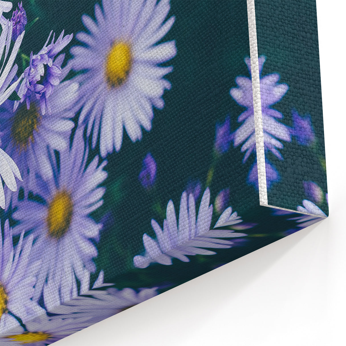 Floral Wall Art – Vibrant Purple Daisies in Spring Bloom