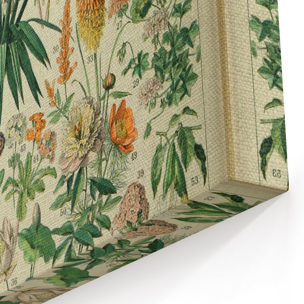Flower Art Print – Vintage Botanical Flower Illustration