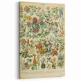 Flower Art Print – Vintage Botanical Flower Illustration