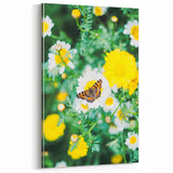 Spring Canvas Art – Butterfly on Wild Daisies Floral Print