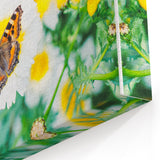 Spring Canvas Art – Butterfly on Wild Daisies Floral Print