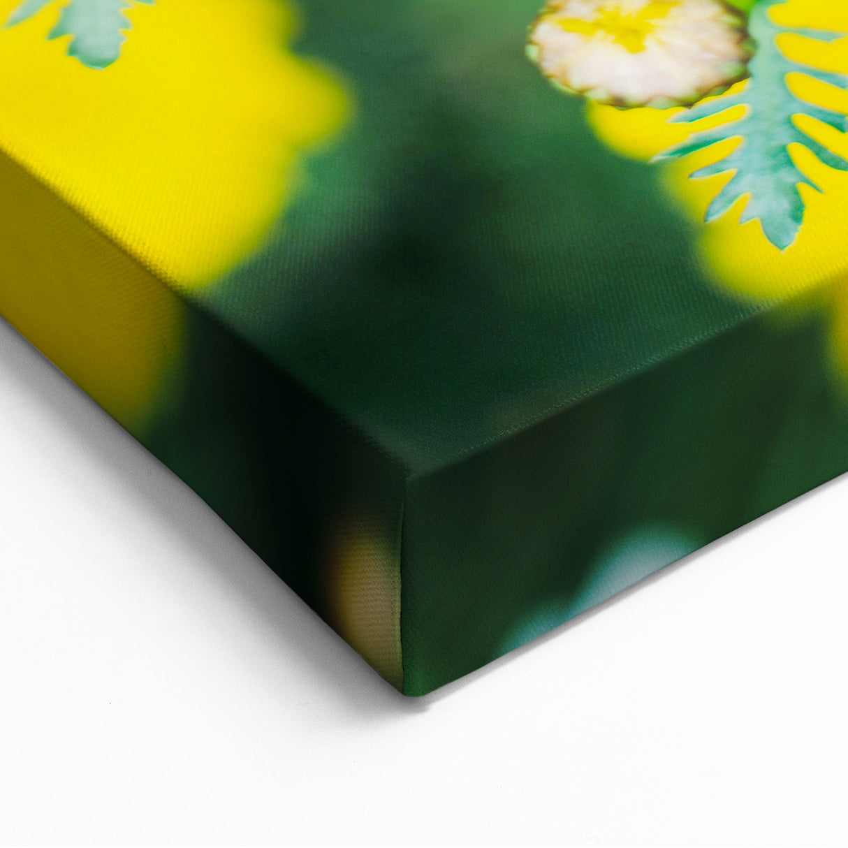 Spring Canvas Art – Butterfly on Wild Daisies Floral Print