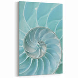 Elegant Nautilus Shell – Coastal Summer Wall Art