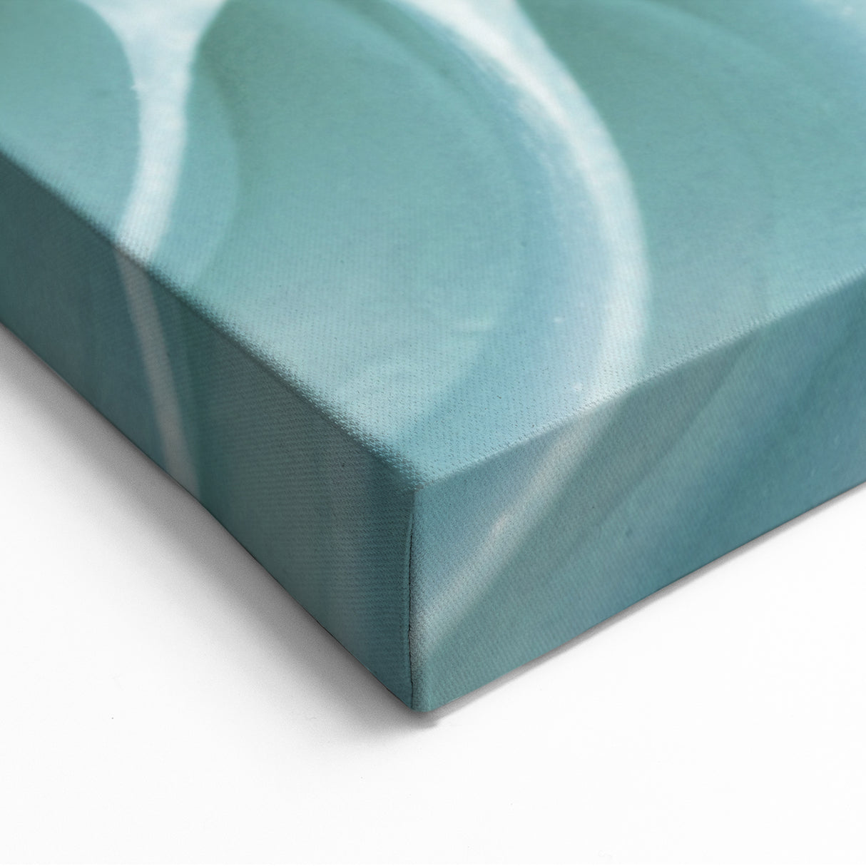 Elegant Nautilus Shell – Coastal Summer Wall Art